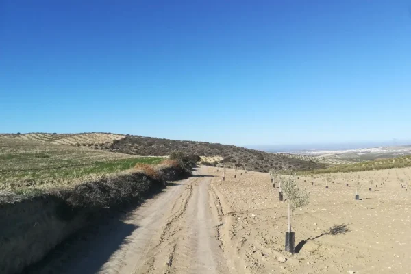 2017-12-30-PHOTO-00001185 2017-12-30-PHOTO-00001185