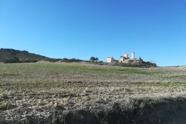 2017-12-30-PHOTO-00001191 2017-12-30-PHOTO-00001191