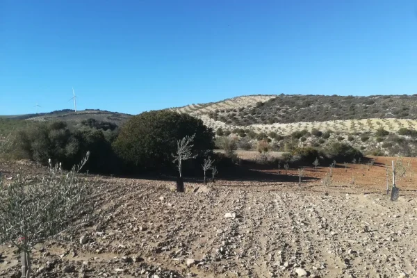 2017-12-30-PHOTO-00001201 2017-12-30-PHOTO-00001201