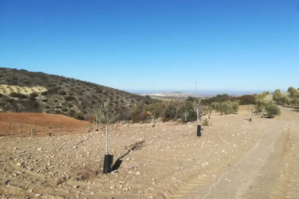 2017-12-30-PHOTO-00001204 2017-12-30-PHOTO-00001204