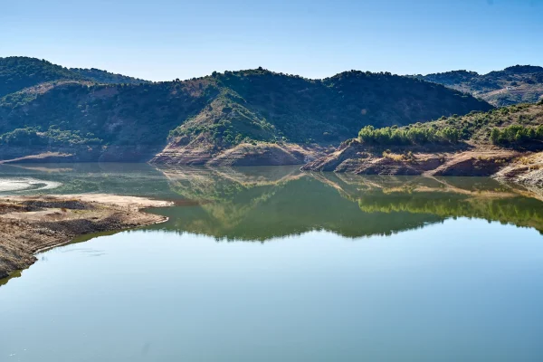 CORBONES Y PINAREJO 11 CORBONES Y PINAREJO 11