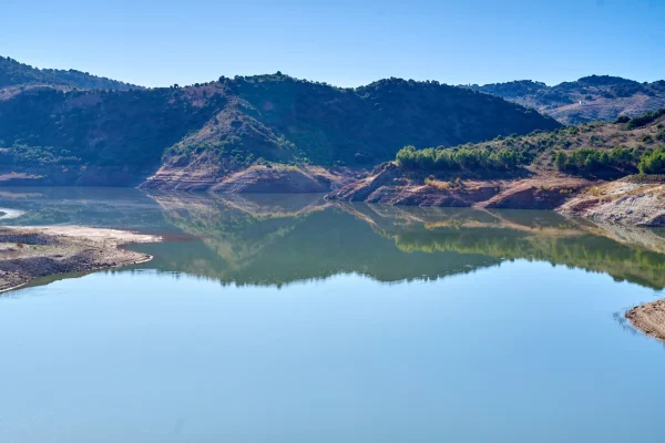 CORBONES Y PINAREJO 13 CORBONES Y PINAREJO 13