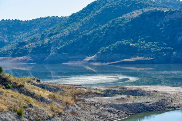 CORBONES Y PINAREJO 14 CORBONES Y PINAREJO 14