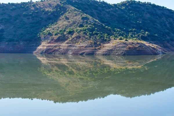 CORBONES Y PINAREJO 17 CORBONES Y PINAREJO 17