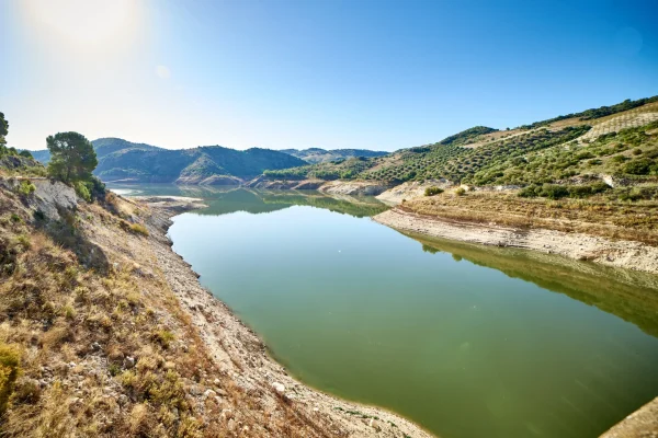 CORBONES Y PINAREJO 6 CORBONES Y PINAREJO 6