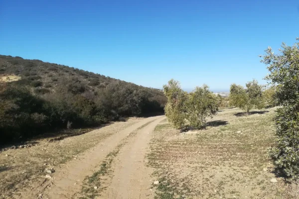 Camino del barranco Camino del barranco