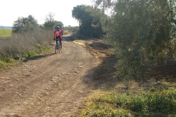 Ípora Los Naranjos 1 Ípora Los Naranjos 1