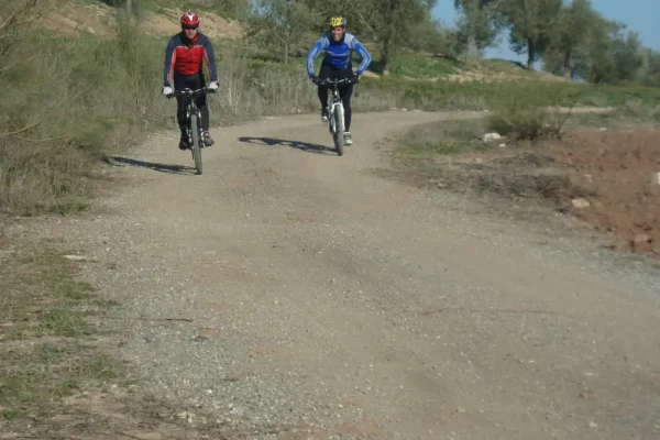 Ipora los Naranjos 2 Ipora los Naranjos 2