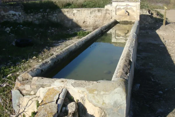 Ipora los naranjos 4 Ipora los naranjos 4