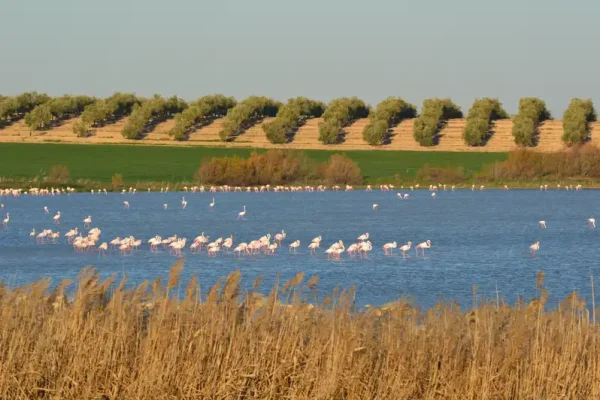 Lagunas_de_Osuna