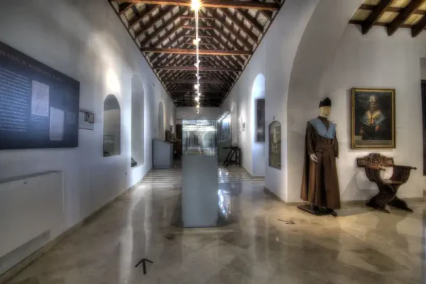 MUSEO DE OSUNA (41)