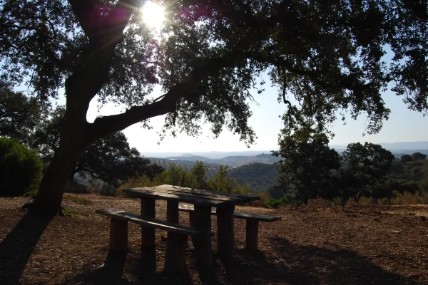 Merendero de La Gomera Merendero de La Gomera