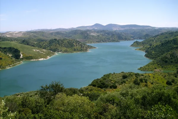 Pnatano 2- Manuel Herrera Valle Pnatano 2- Manuel Herrera Valle