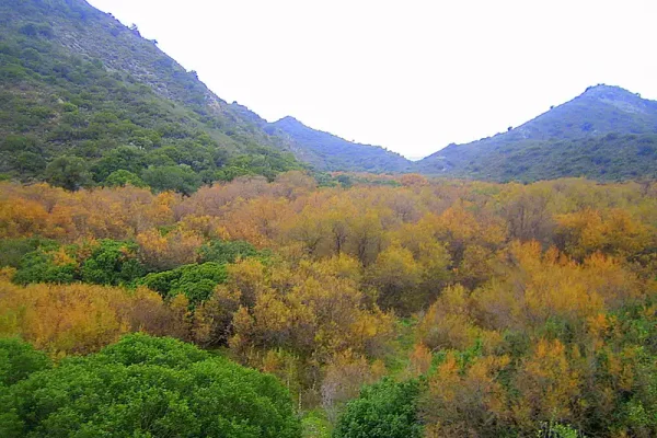 Rio Blanco-salinoso Rio Blanco-salinoso