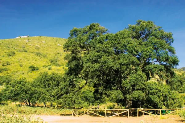 Sendero la Gomera Sendero la Gomera