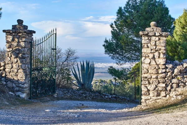 VIÑAS Y GOMERA 1 VIÑAS Y GOMERA 1