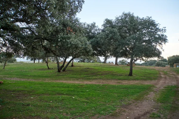 VIÑAS Y GOMERA 10 VIÑAS Y GOMERA 10