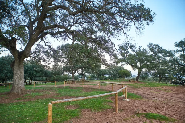 VIÑAS Y GOMERA 14 VIÑAS Y GOMERA 14