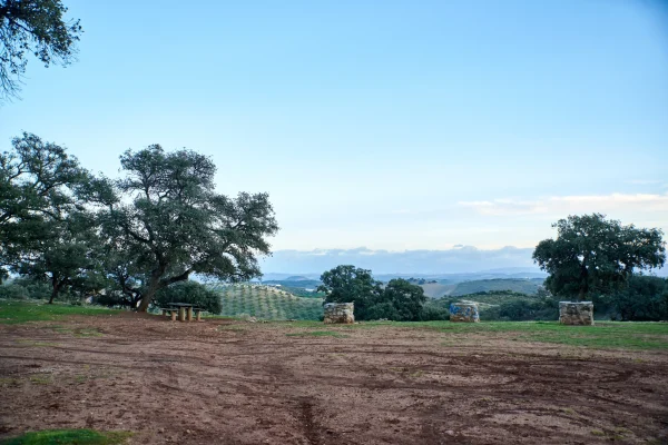 VIÑAS Y GOMERA 18 VIÑAS Y GOMERA 18