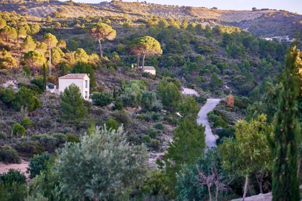 VIÑAS Y GOMERA 4 VIÑAS Y GOMERA 4