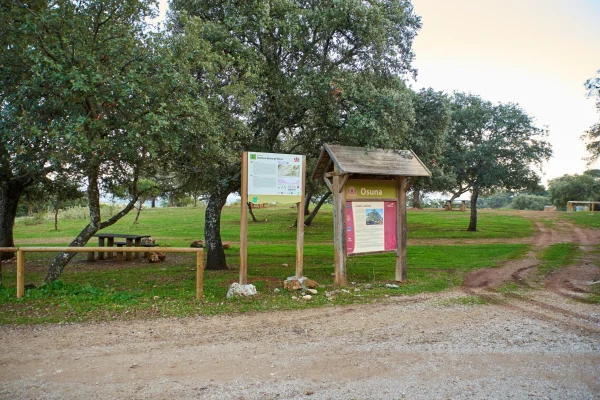 VIÑAS Y GOMERA 5 VIÑAS Y GOMERA 5