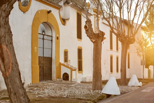 VIÑAS Y GOMERA 8 VIÑAS Y GOMERA 8