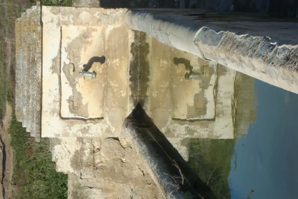 ípora los naranjos 3 ípora los naranjos 3