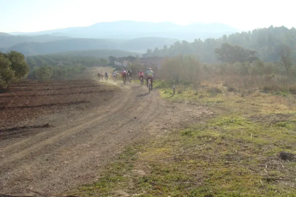 ipora los naranjos 7 ipora los naranjos 7