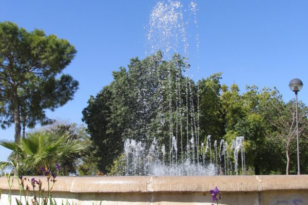 FUENTE PARQUE SAN ARCADIO2