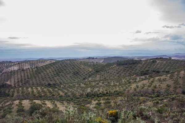 LaGomera_4